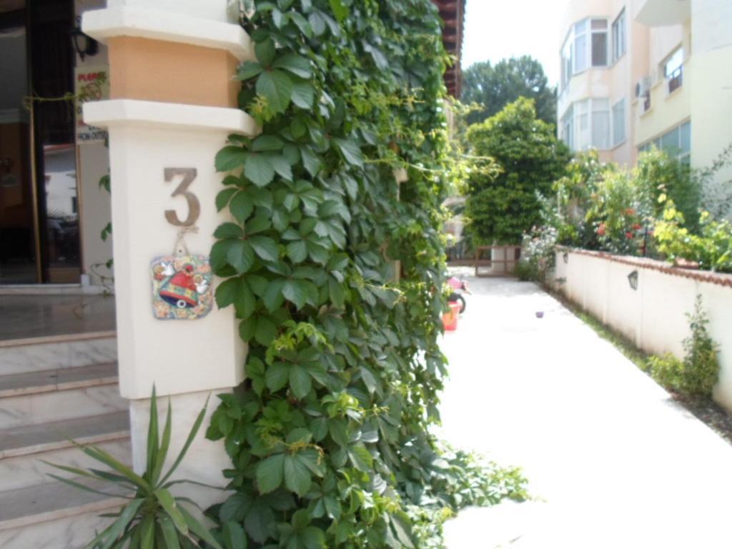 Hotel Hani Armutalan Exterior foto